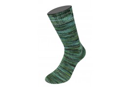 VIntage Socks Multi 1057